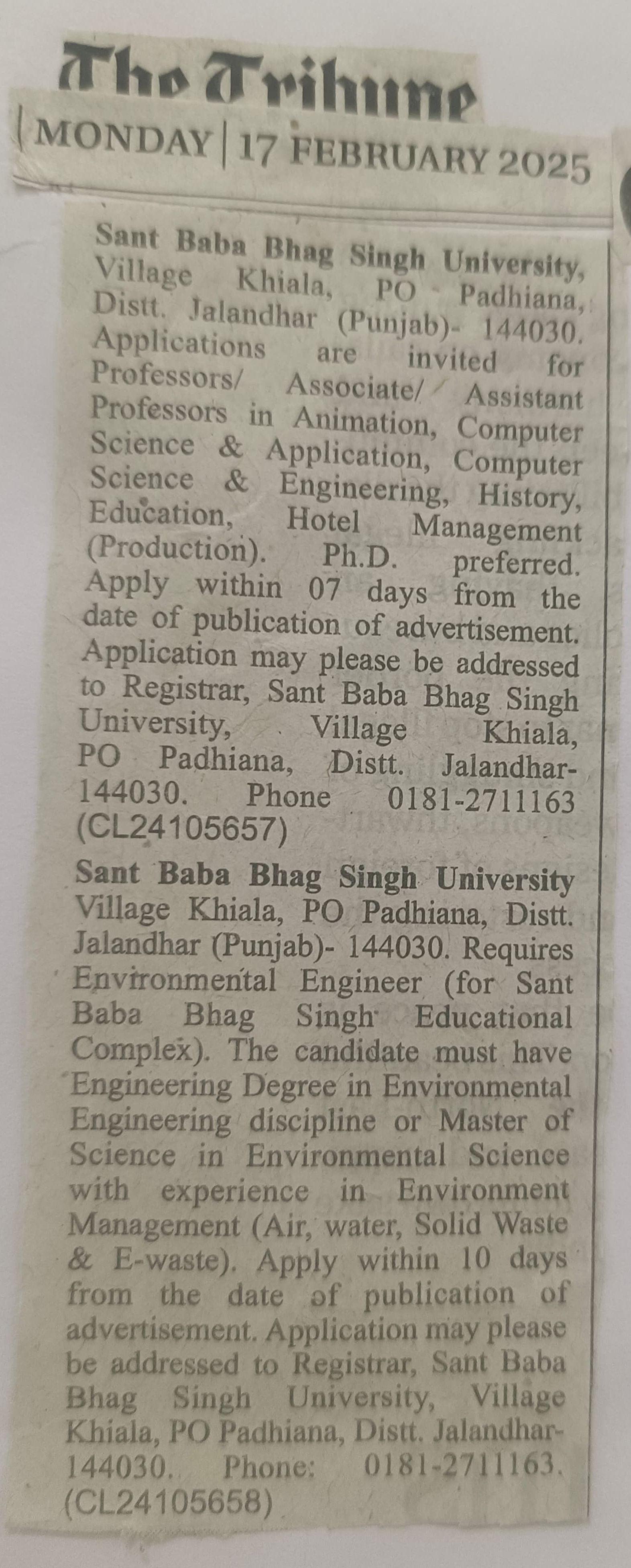 Job Advertisement 4